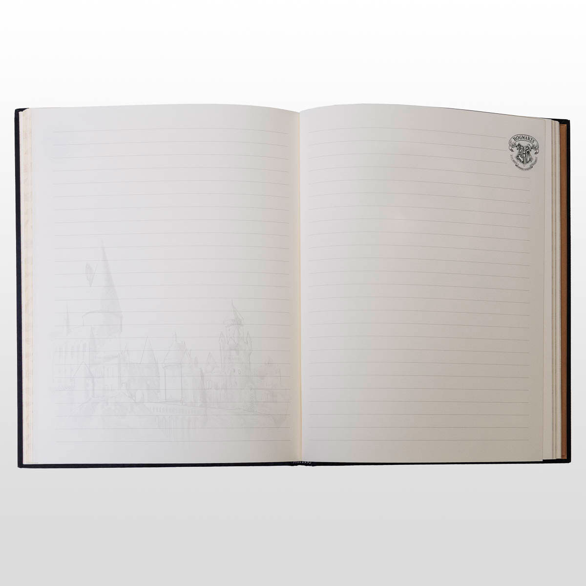 Carnet Paperblanks Harry Potter : Légendes de Poudlard (pages siglées)