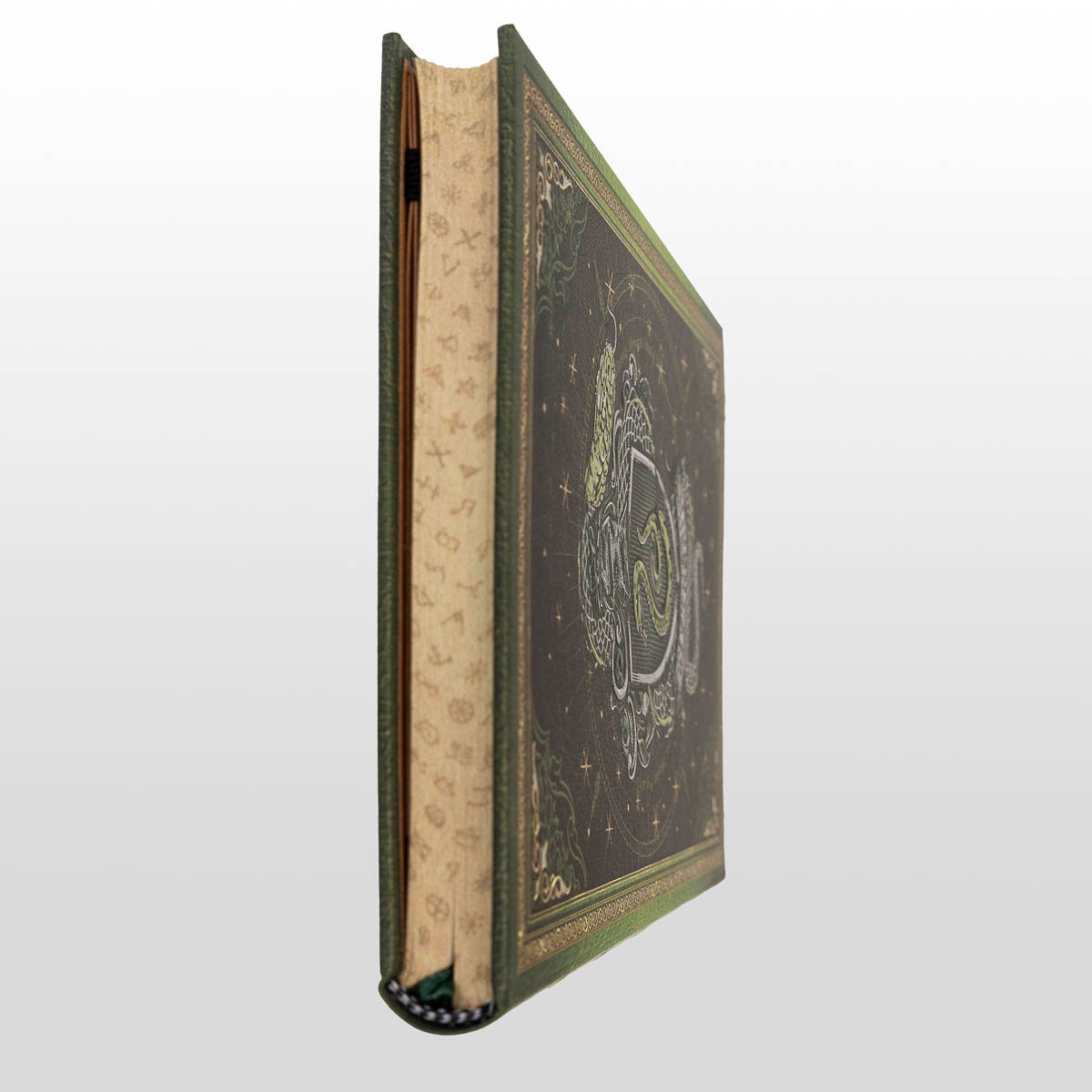 Carnet Paperblanks Harry Potter : Serpentard (tranche du carnet)