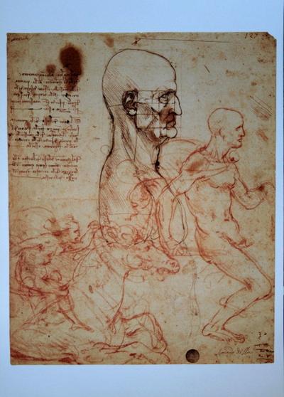 Lámina Leonardo Da Vinci - Estudio de la fisonomía humana