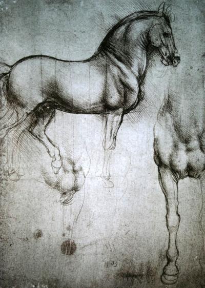 Leonardo Da Vinci Art Print - Study of the horse