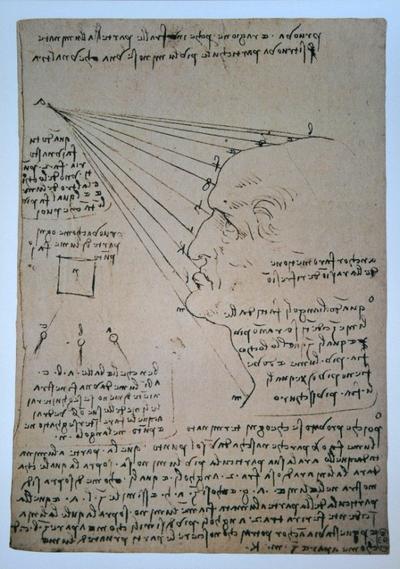 Leonardo Da Vinci Art Print - Study of the human profile