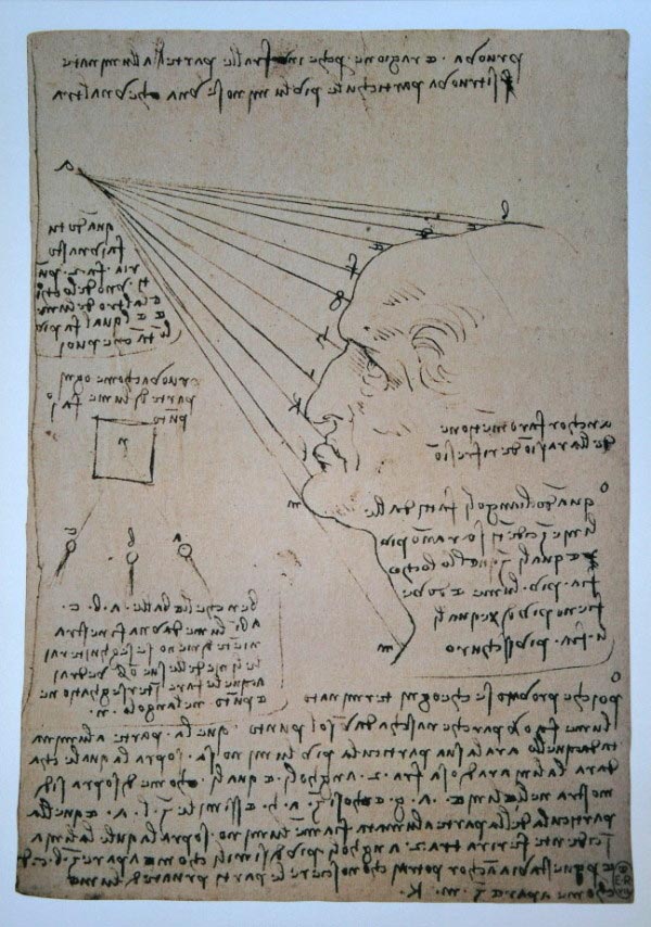 Stampa Leonardo Da Vinci - Studio del profilo del viso