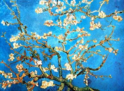 Lámina Vincent Van Gogh - Rama de almendro en flor