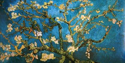 Affiche Van Gogh - Branche d'amandier en fleur