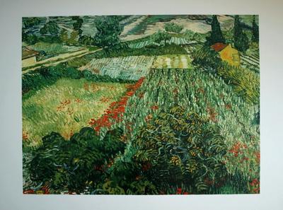 Affiche Vincent Van Gogh - Le champ de coquelicots