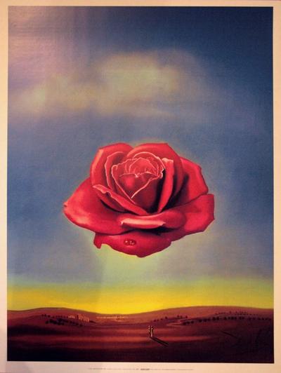Salvador Dali - La Rose Méditative