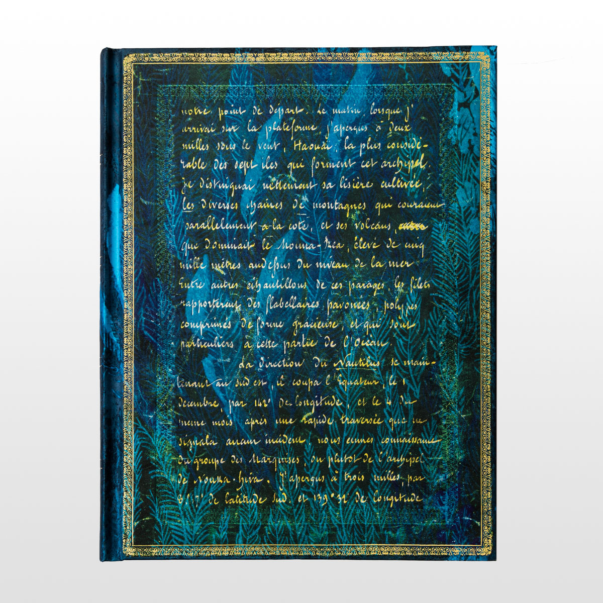 Carnet Paperblanks : Jules Verne : Vingt Mille Lieues sous les mers (détail 2) 