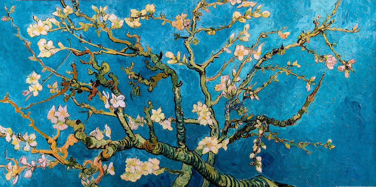 Lámina Vincent Van Gogh - Rama de almendro en flor - 100 x 50 cm