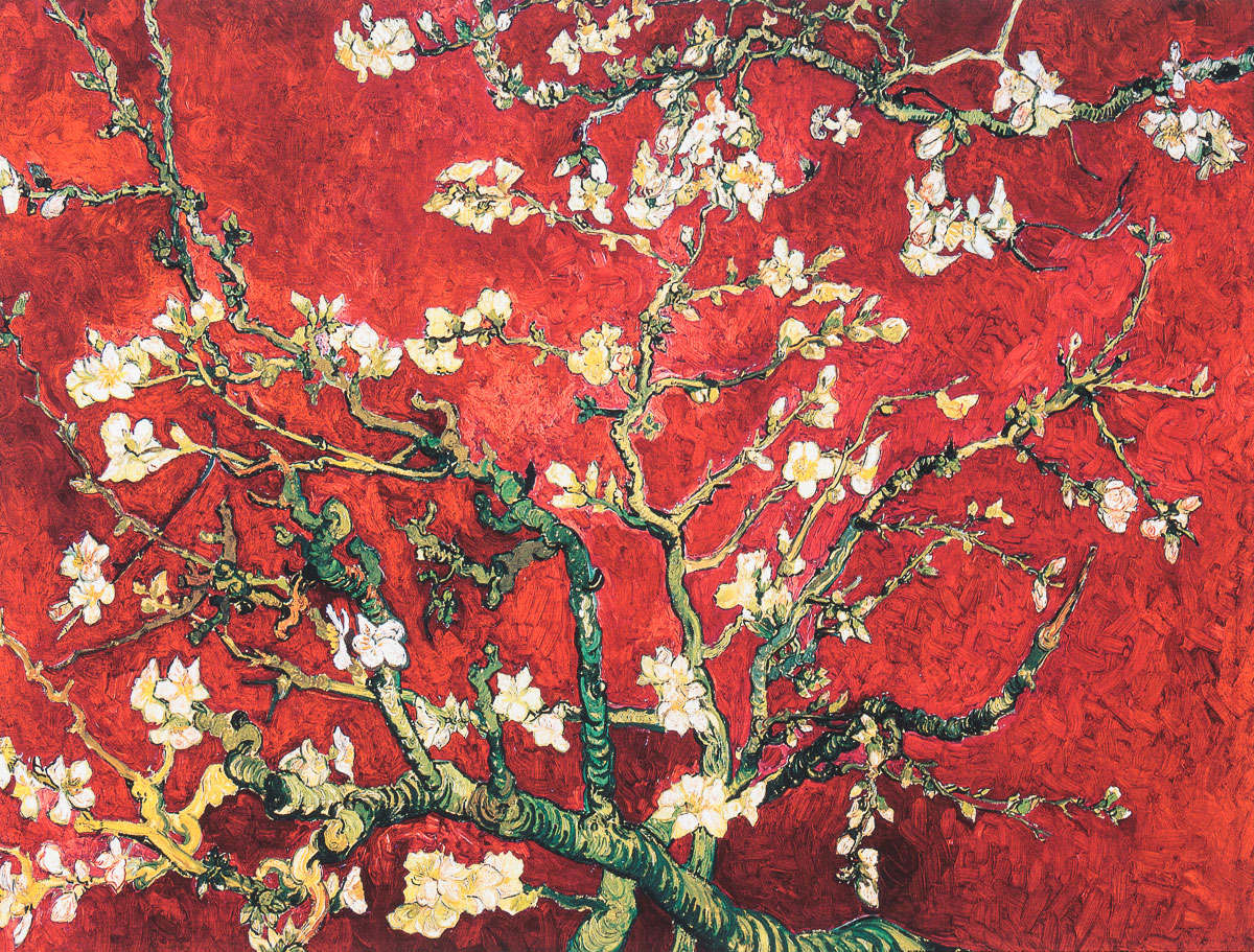 Lámina Vincent Van Gogh - Rama de almendro en flor (rojo)