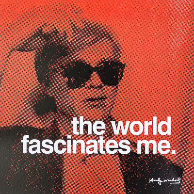 Affiche Andy Warhol - The world fascinates me