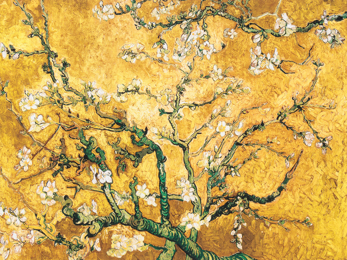 Stampa Van Gogh - Ramo di mandorlo in fiore (oro) - Stampa 40 x 30 cm